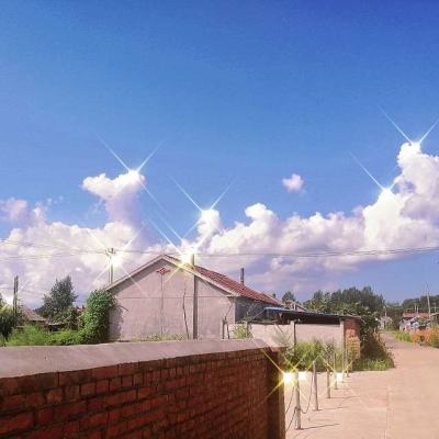 Arm将首次出售自有芯片 加码争夺AI设备支出份额